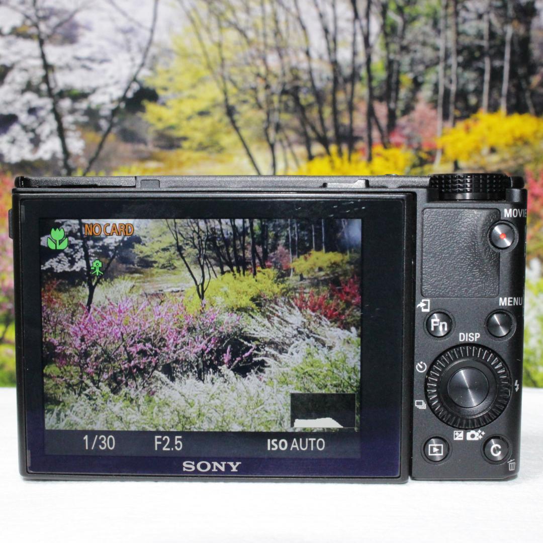 ＠＠名城＠＠　SONY　RX100III（DSC-RX100M3）