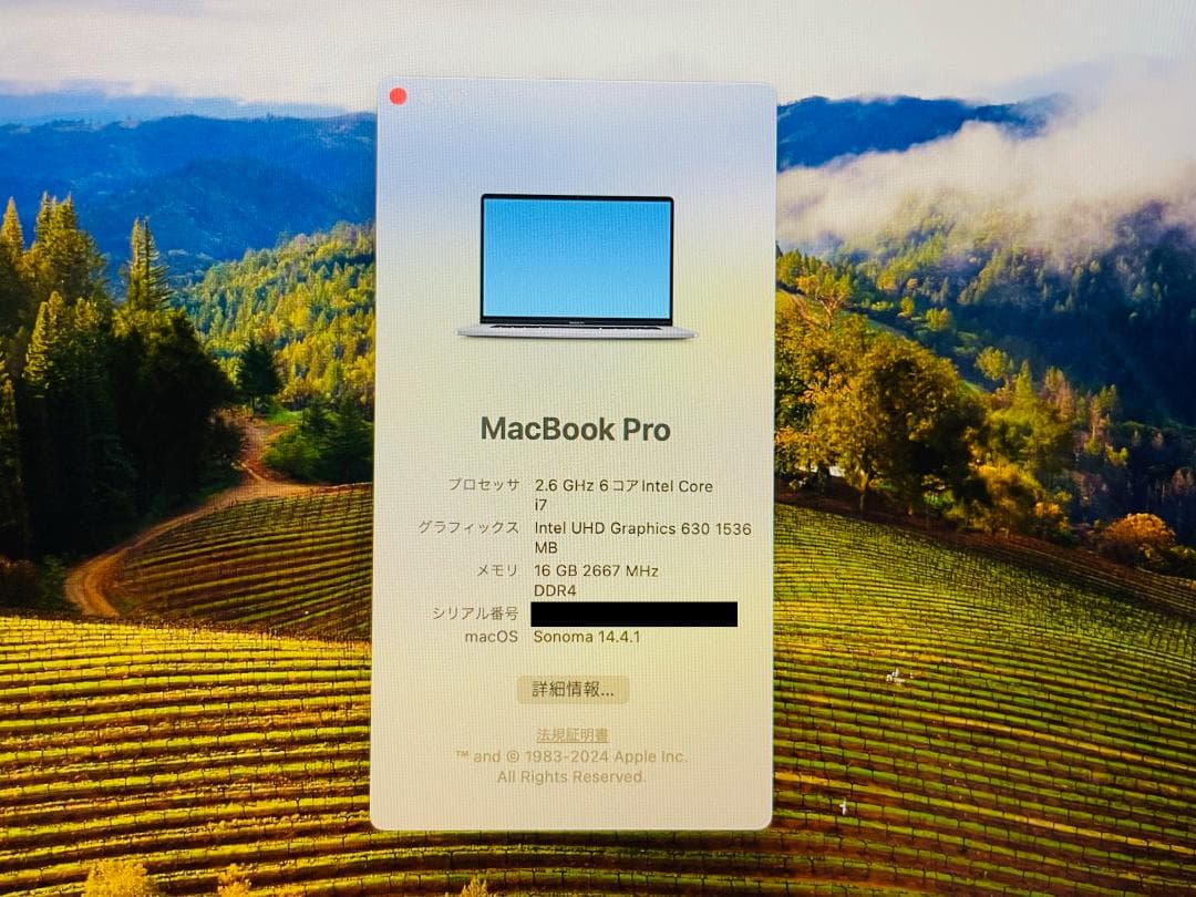 MacBook Pro 16インチ 2019 Core i7 16GB