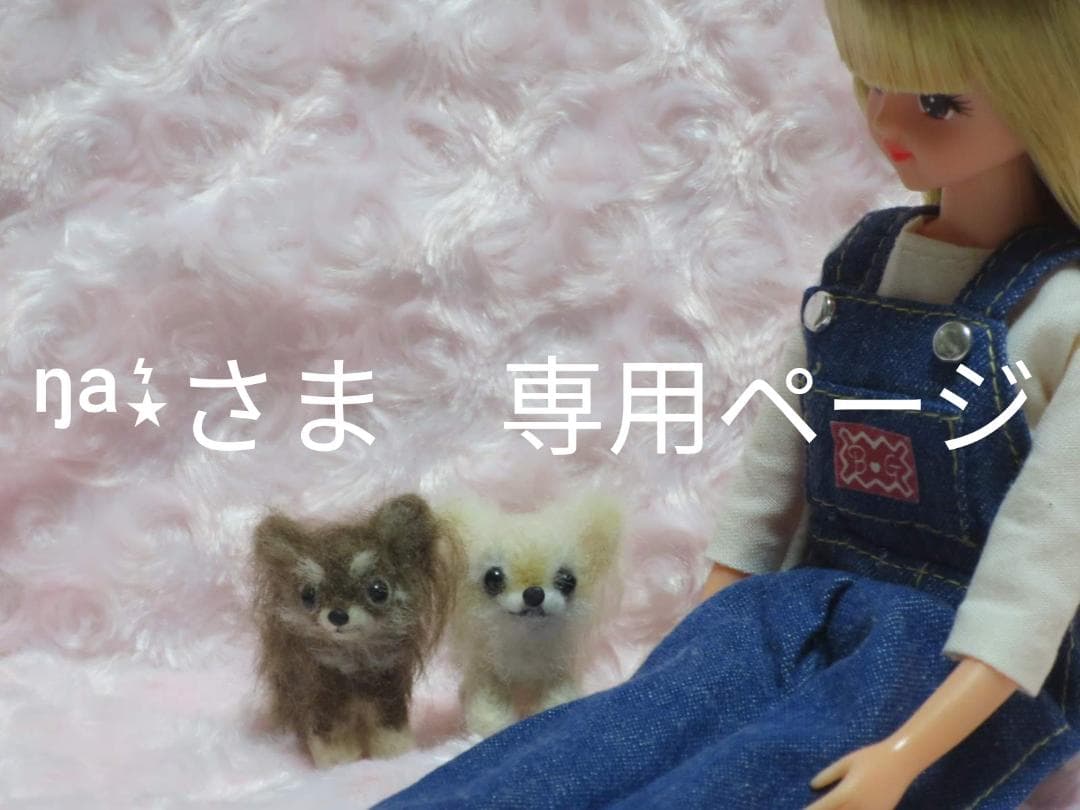 羊毛フェルト 犬 チワワ チョコタン パーティーカラー ミニチュアドールハウス