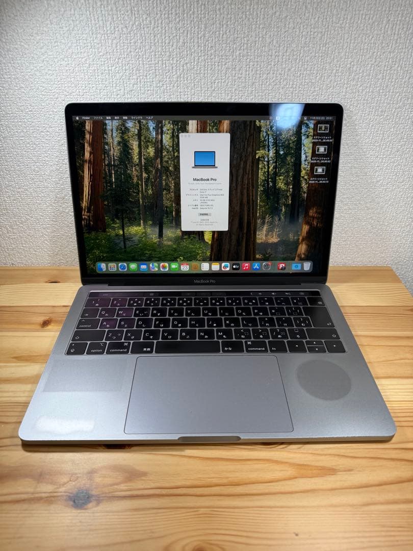 Apple MacBook Pro 13インチ 2019 i7/16GB/250