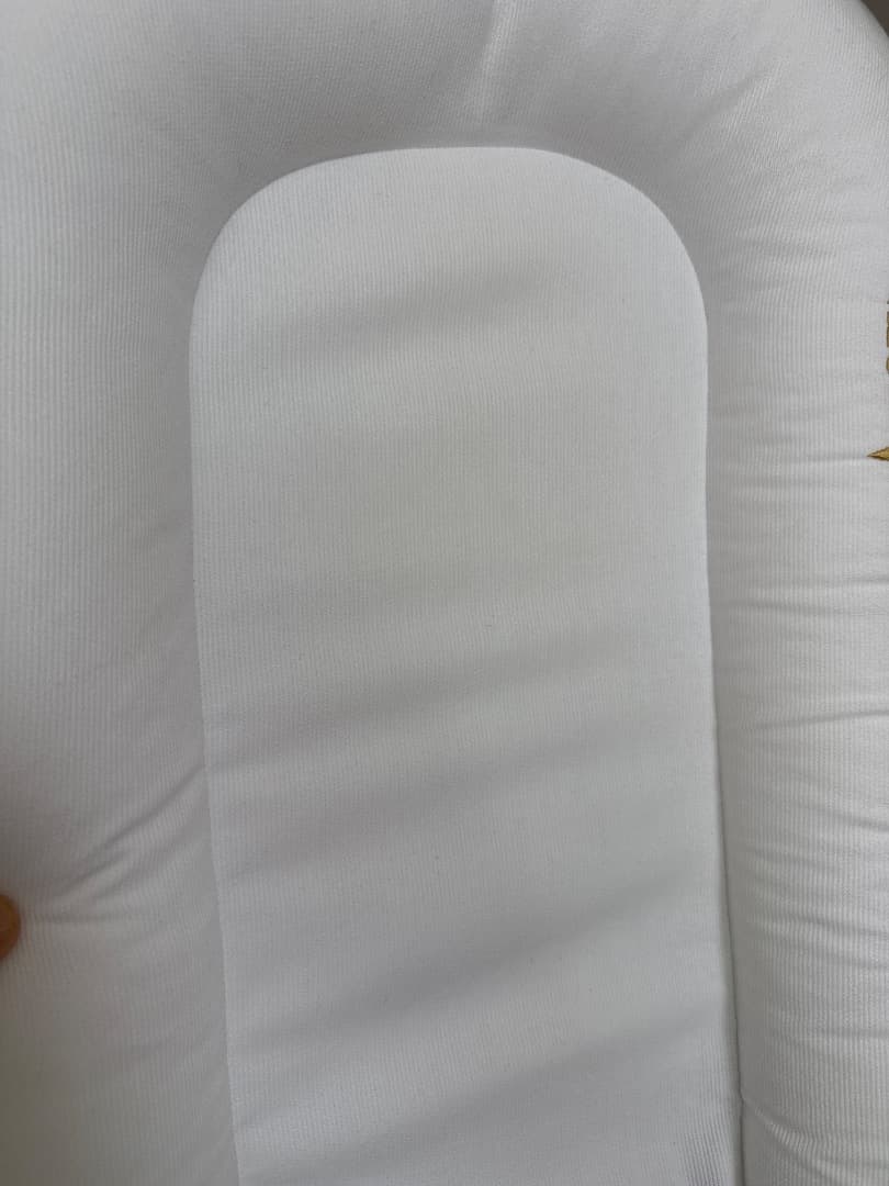 LN断捨離中様　ドッカトット DockATot Deluxe+ Dock