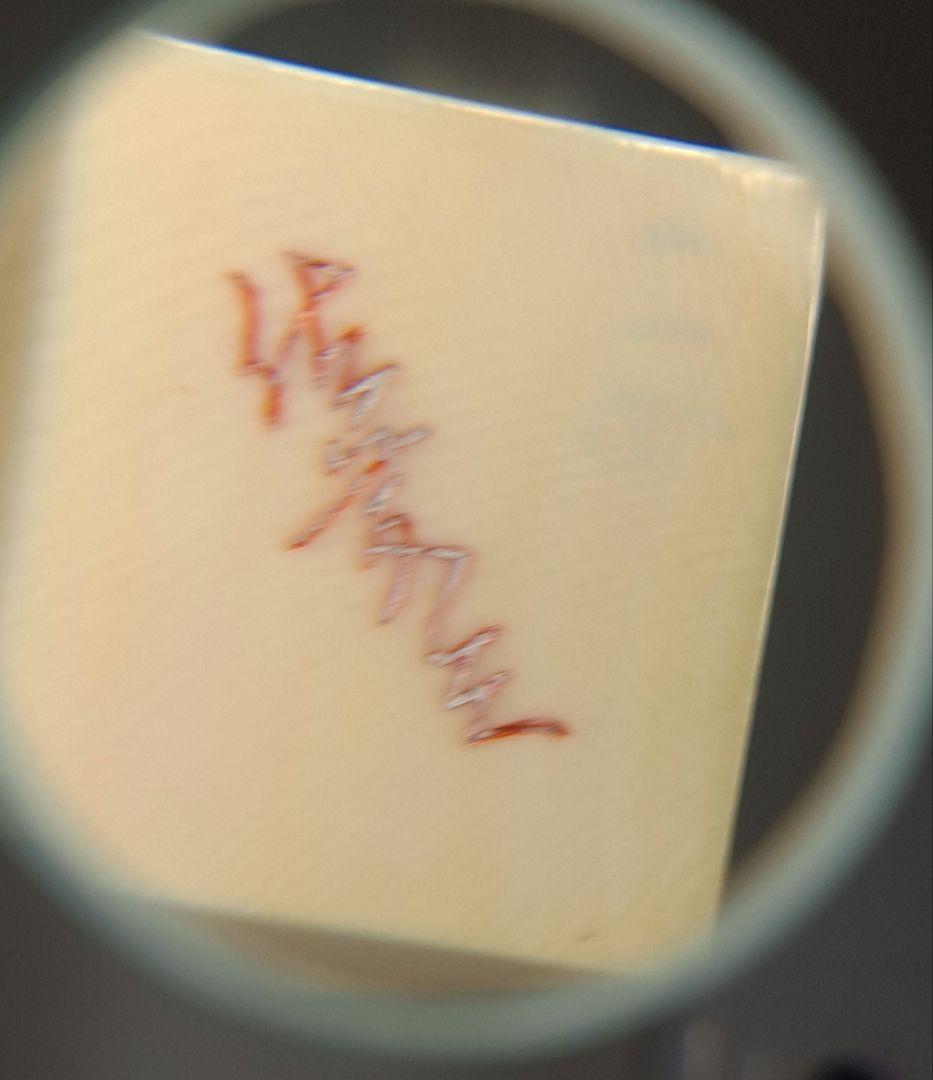 sak0403専用 三味線 天然素材の高級バチ マンモス 牙 中古品