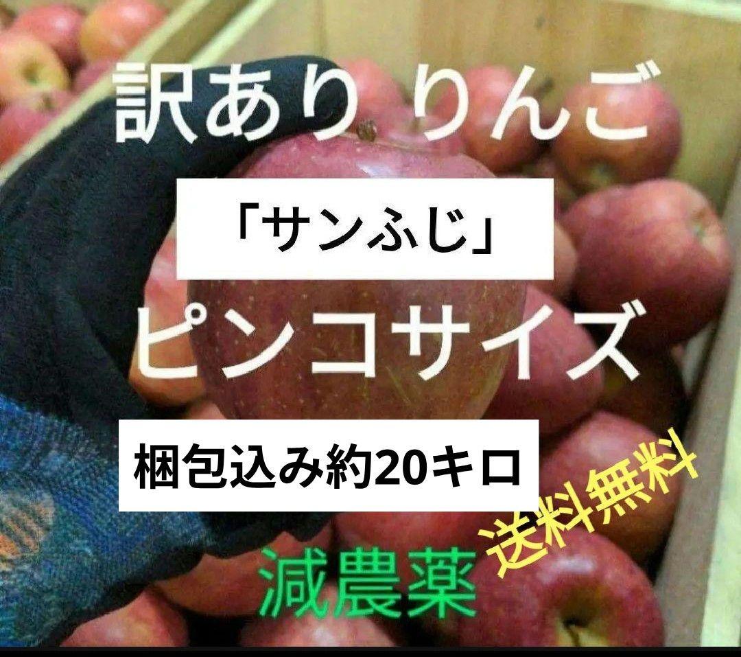 青森県産 減農薬 訳ありりんご「サンふじ」 ピンコサイズ 梱包込み約20キロ