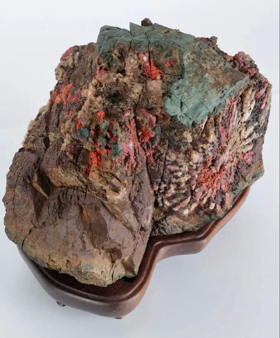 天覧 天然菊花石 大輪 6.5kg 台座付 鑑賞石 盆石 水石 自然石 美石