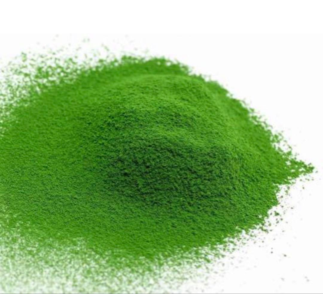 丸久小山園　抹茶　五十鈴100g