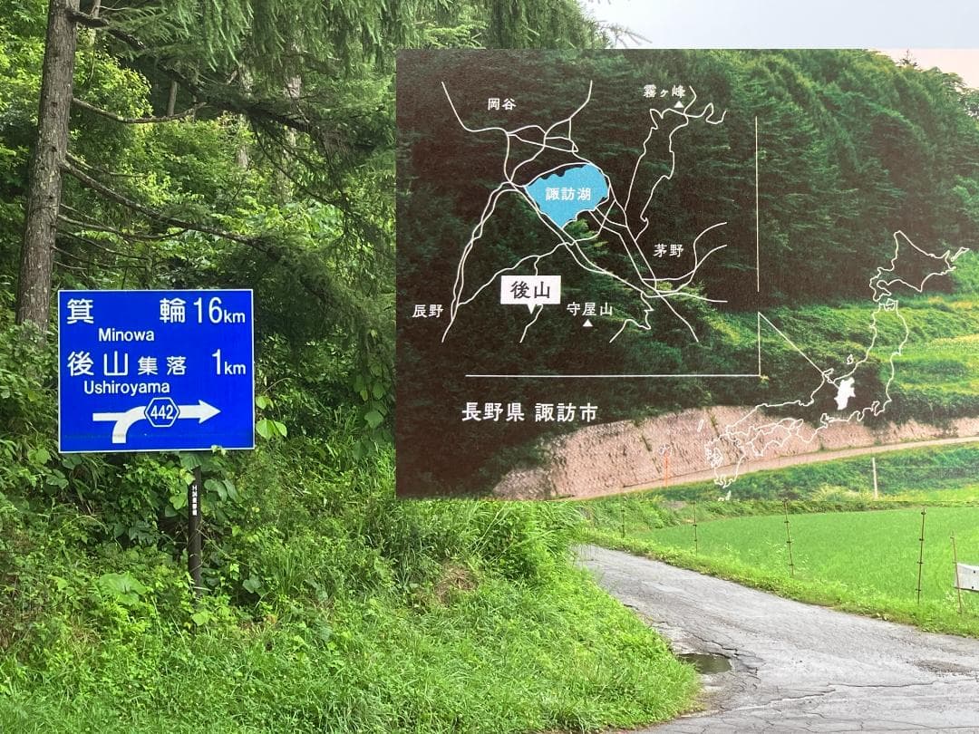 Fika 23　【令7新蜜】国産蜂蜜 百花蜜 1000g 2本