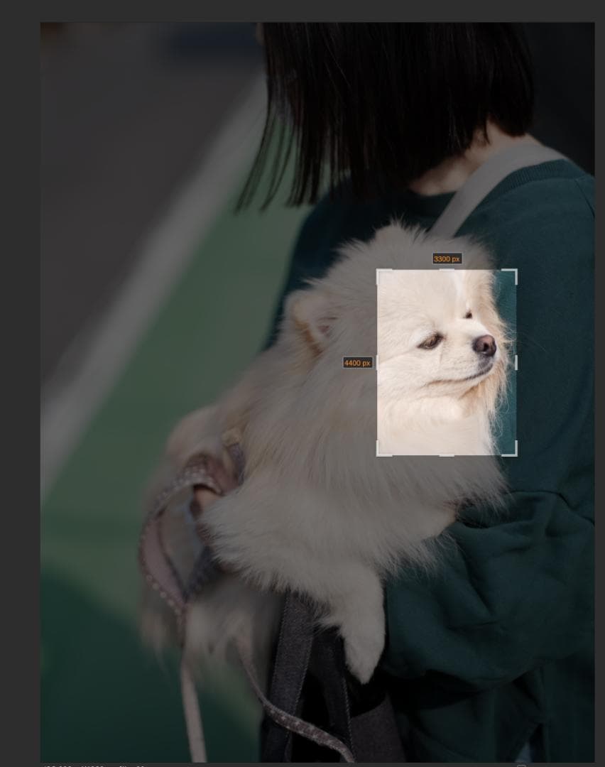 MAMIYA SEKOR C 80mm F1.9 マミヤ　中古