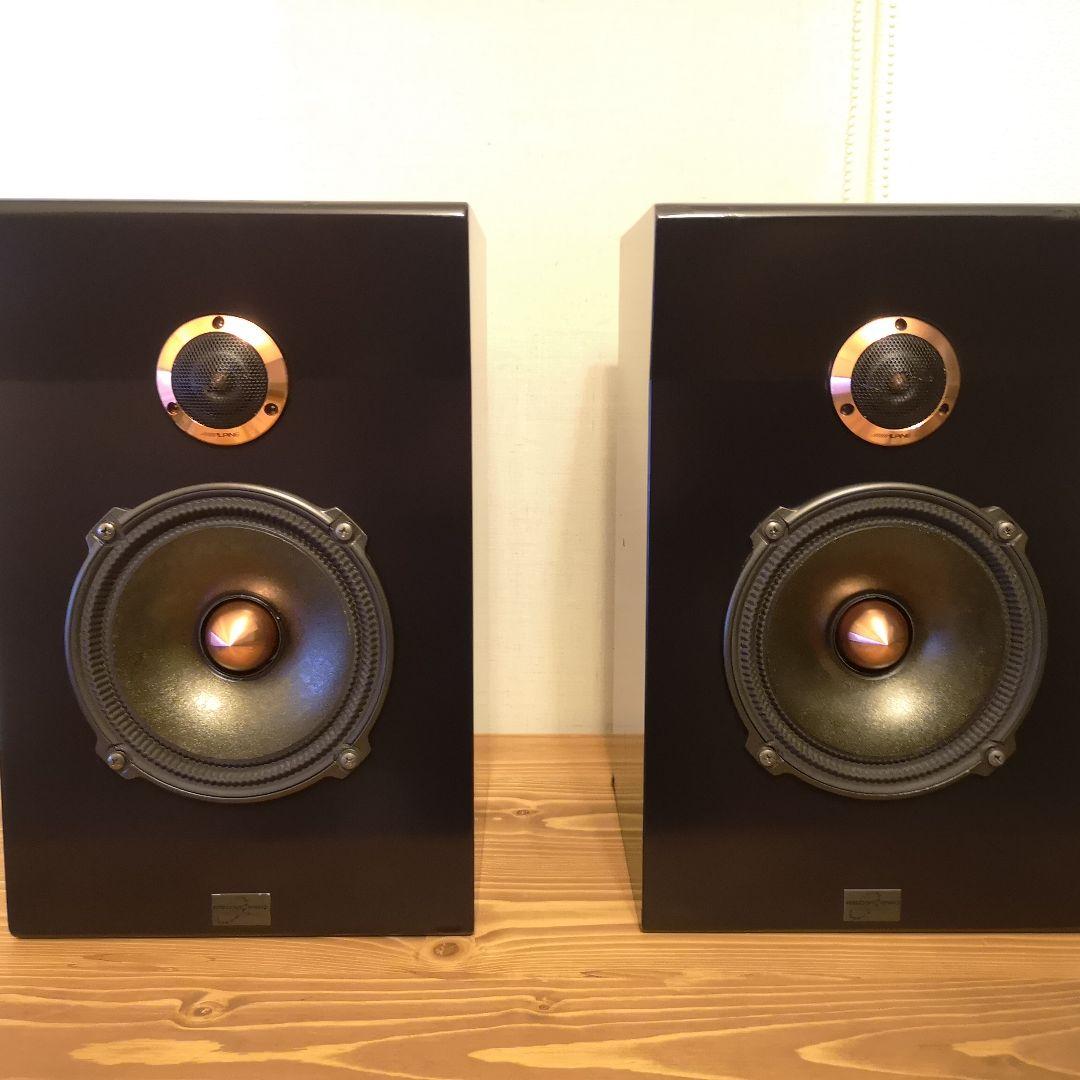 スピーカー　REQST PRO DSW-T1 ペア　レクストプロ