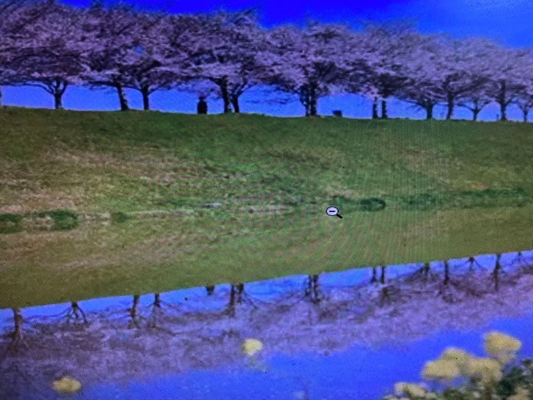 信の心金テープ18kgお姫さまマーク手延そうめん