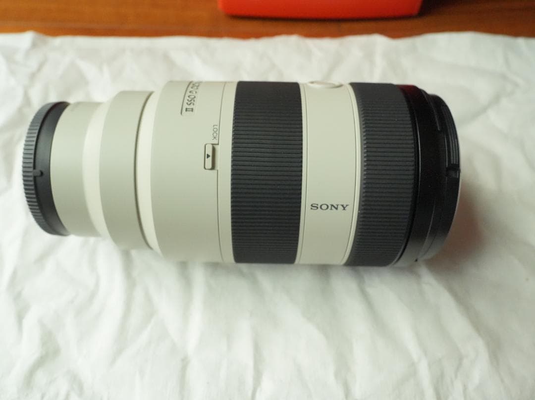 望遠&マクロ SONY FE70-200mm F4 MacroG OSS II