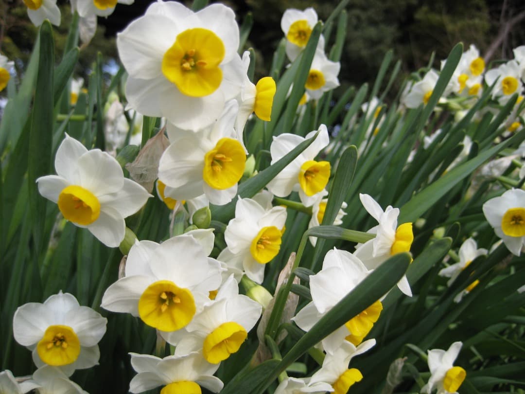 実写美⭕️訳あり【動作確認済み】Canon IXY DIGITAL 10 デジカメ