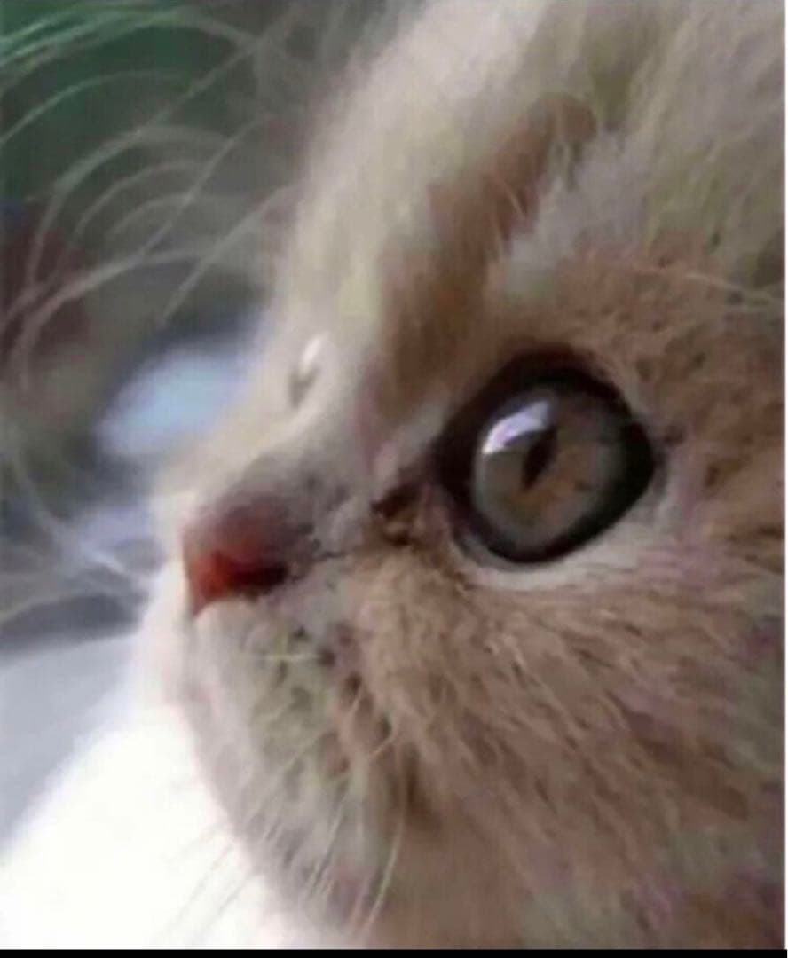 かずぴょん❣️化粧水クリームセット