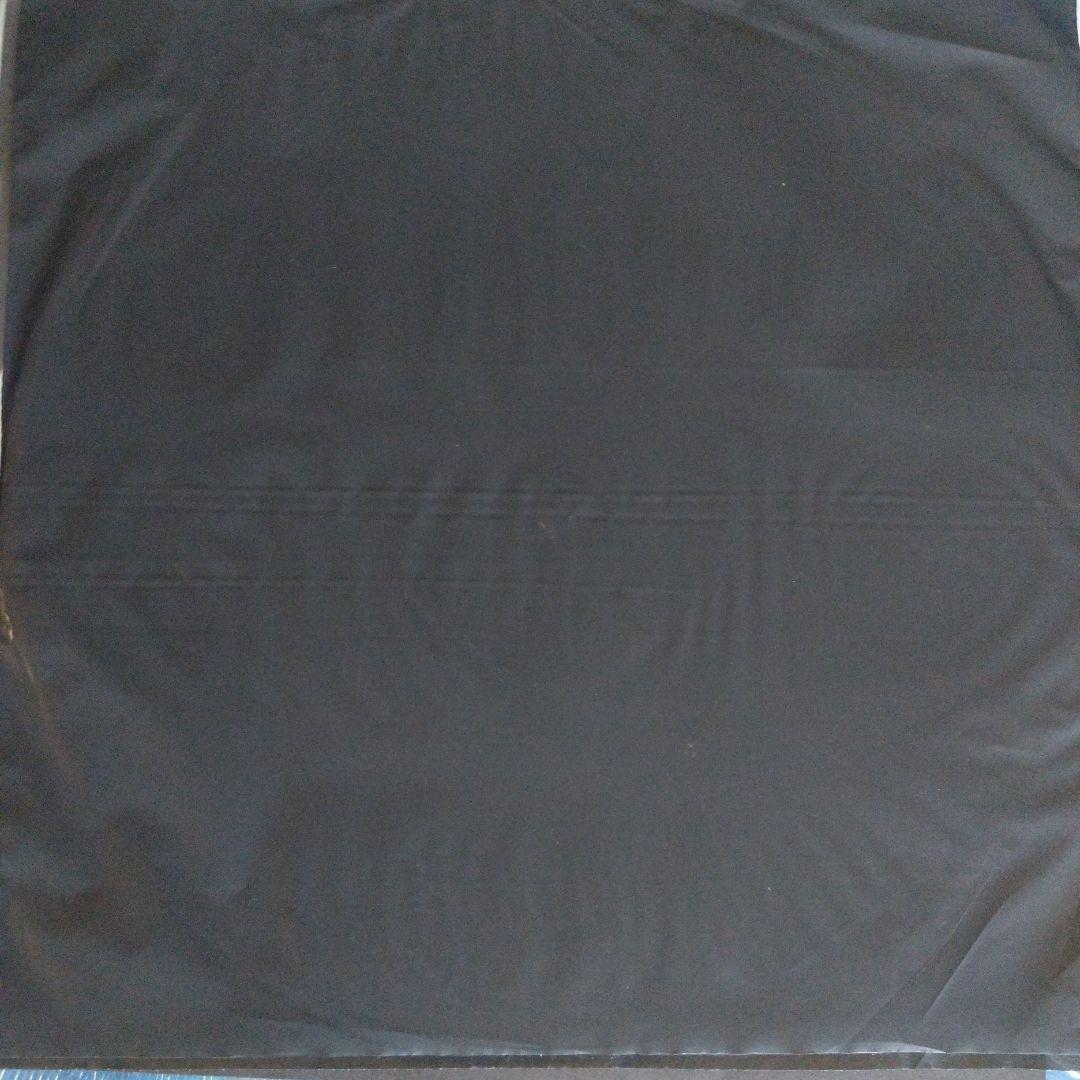 Hard 2 Obtain ism ＆ blues 2LP