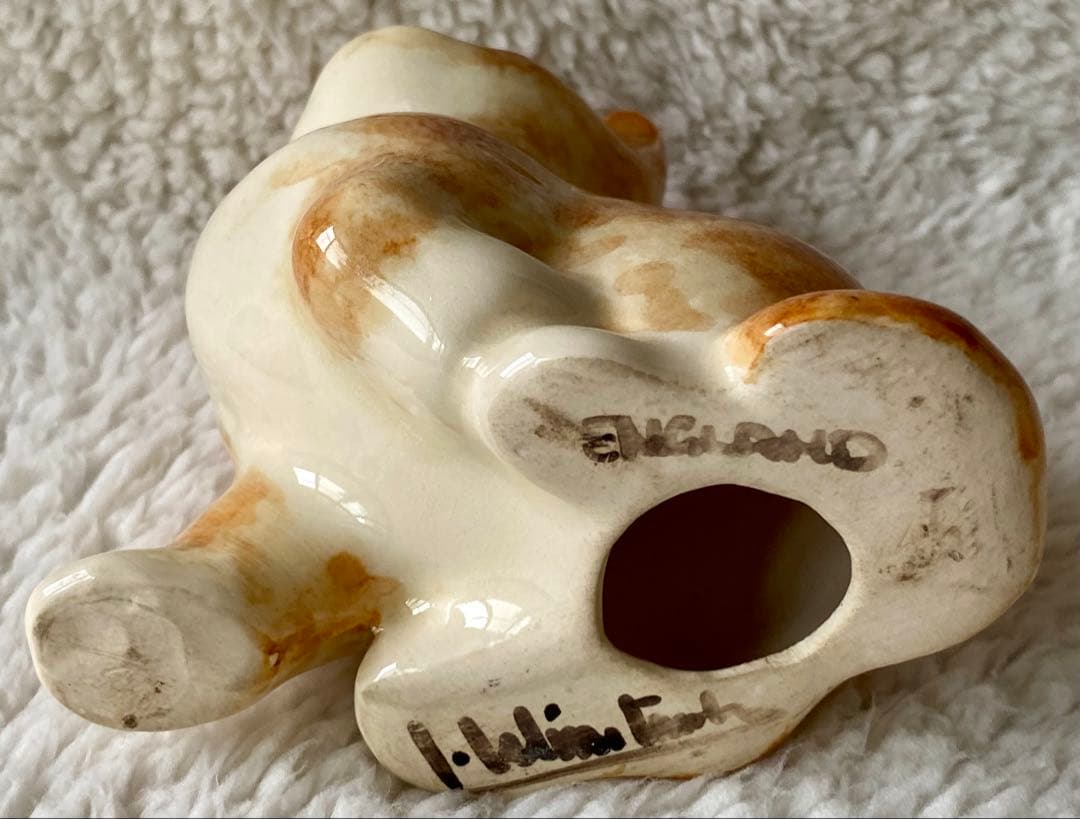 サイズ1相当　ウィンスタンレイキャット　初期と同時期　ジンジャー仔猫❣️