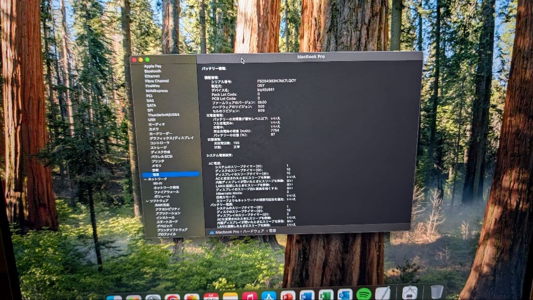 MacBook Pro 16インチ 32GB 1TB 2019 i9 シルバー