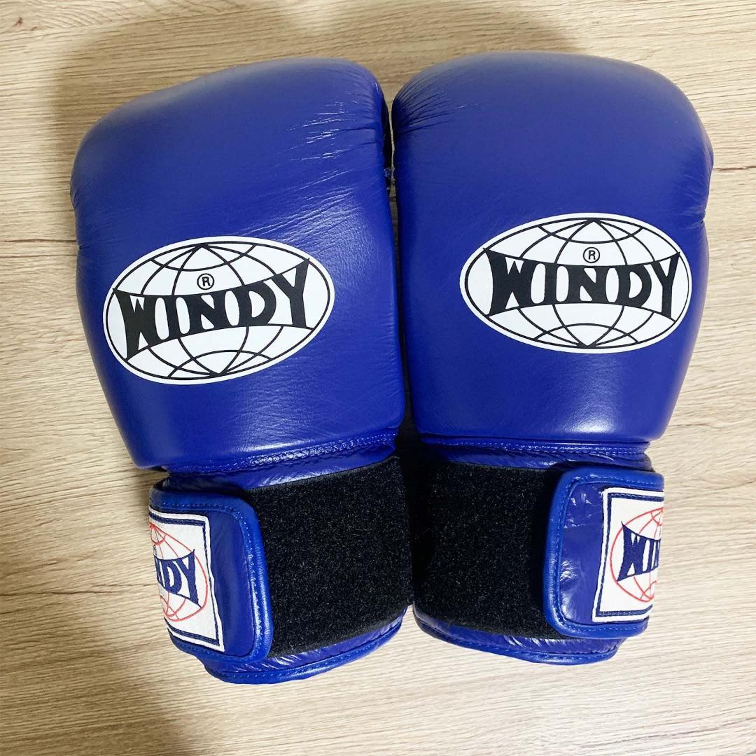 【美品】WINDY ウィンディ グローブ テープ式 速乾暖房機械セット