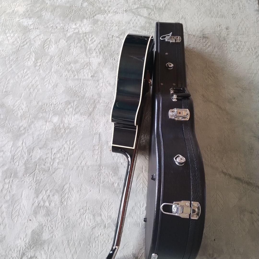 Takamine エレアコ PT106 ダークグリーン ハードケース付き！