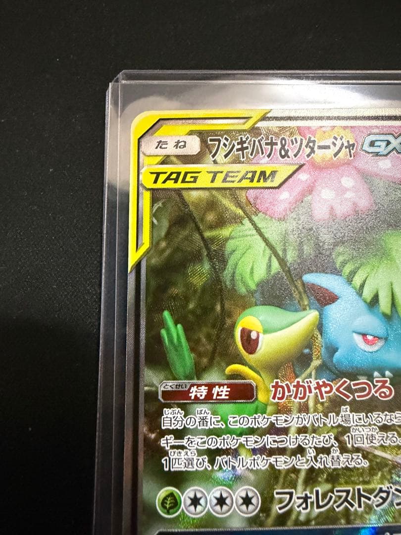 フシギバナ＆ツタージャ GX TAG TEAM SR 066/064 SA