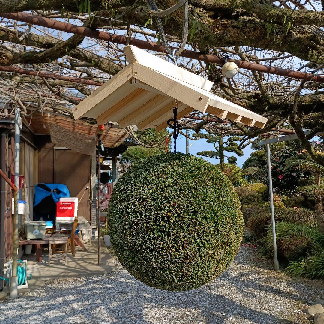 杉玉　直径約33cm　屋根(白木作り）付き
