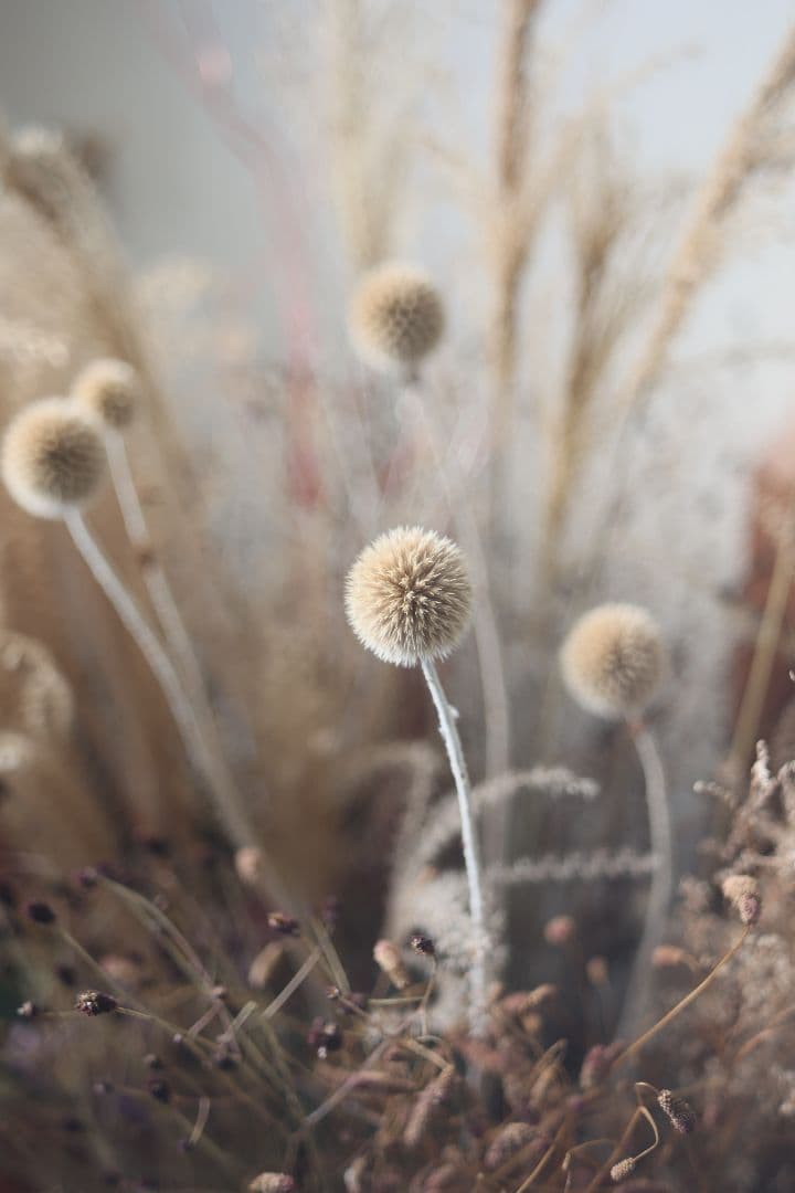 FUJINON 55mm F2.2 【良品】