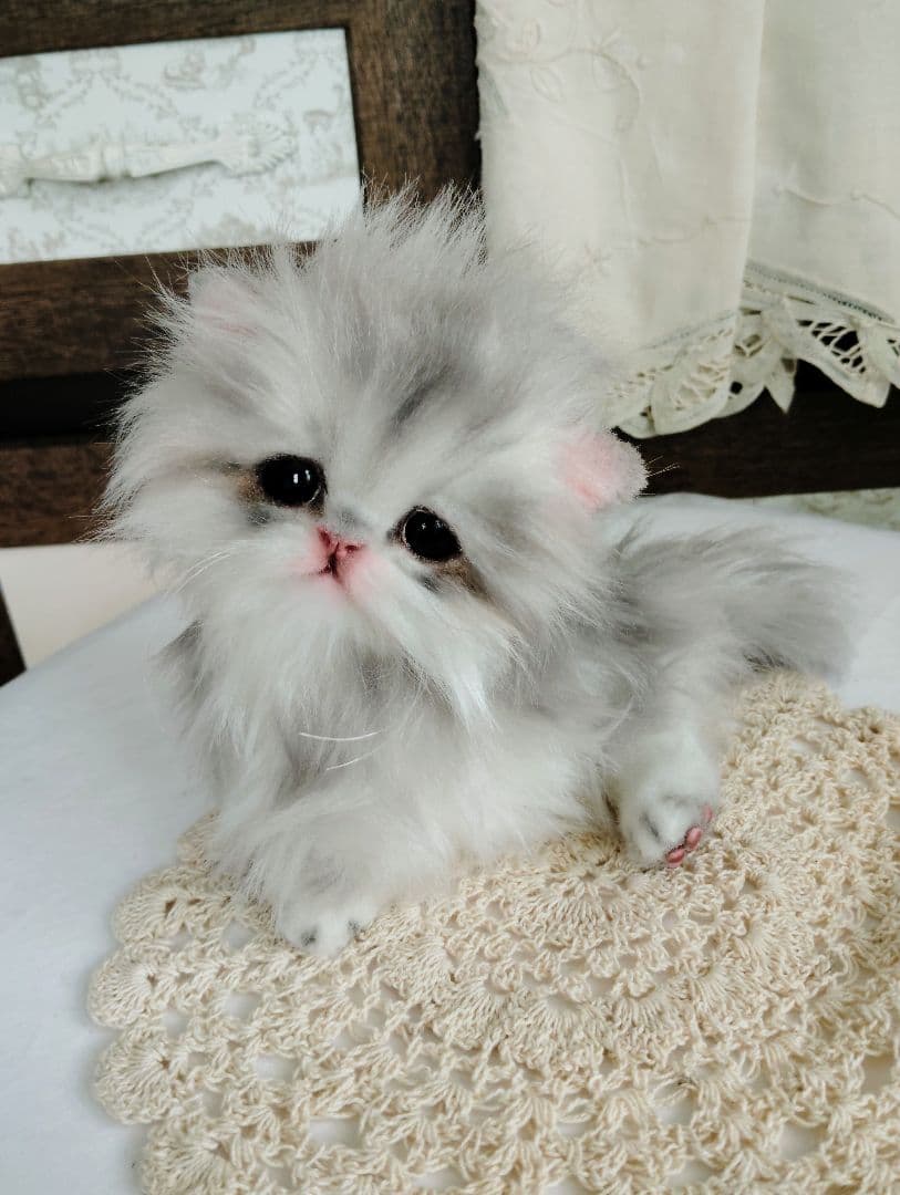 ペルシャベビー♡子猫のシュガーちゃん♡アートドール♡ぬいぐるみ♡