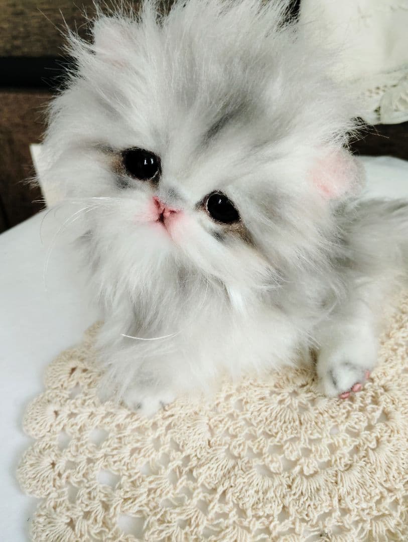 ペルシャベビー♡子猫のシュガーちゃん♡アートドール♡ぬいぐるみ♡
