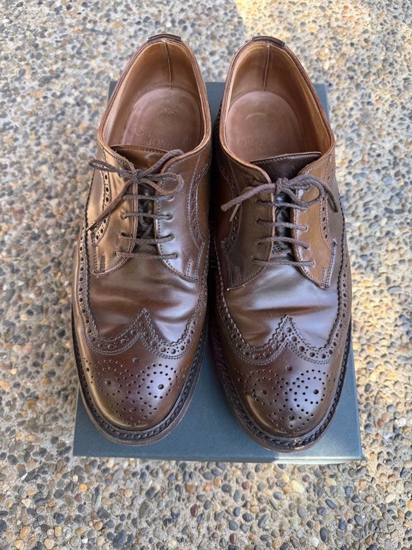 クロケット アンド ジョーンズ　CheviotロングウィングチップUK8E
