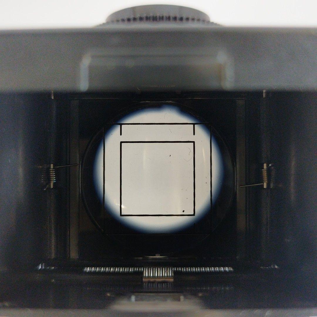 フィルムカメラ blackbird fly