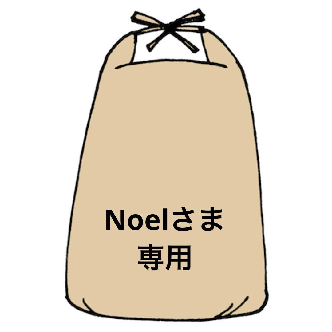 ✨Noelさま専用✨