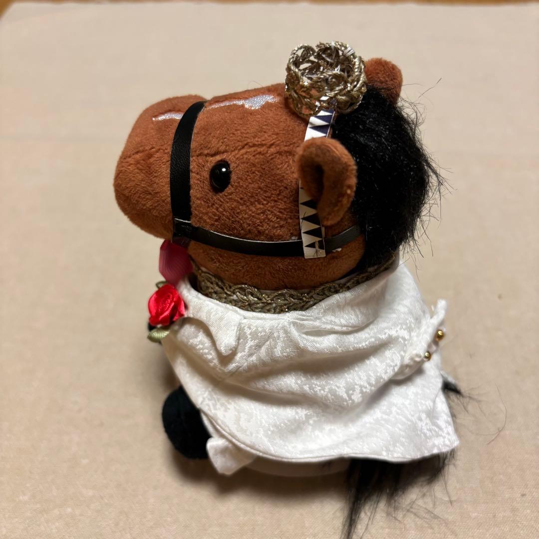 アイドルホース❣️ドレス❣️マント❣️