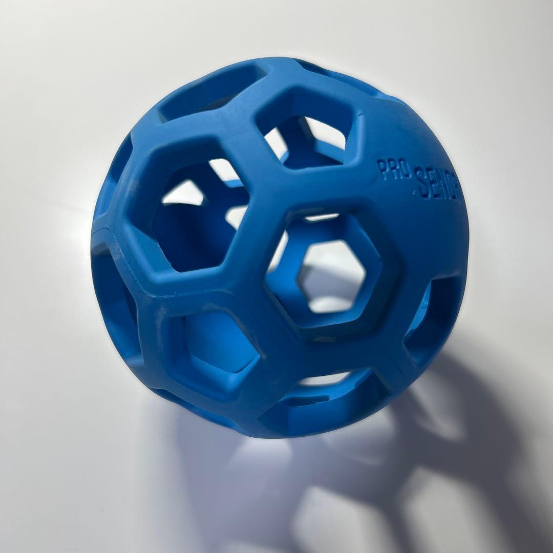 ProSENDR プロセンダー【右利き用】