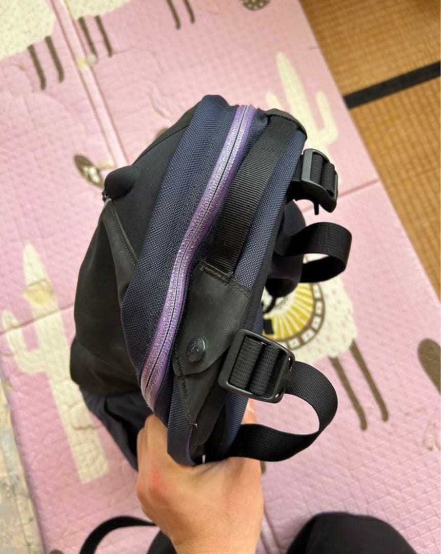 b*e様 廃品　超希少　ARC'TERYX Arro 22 BEAMS別注カラー