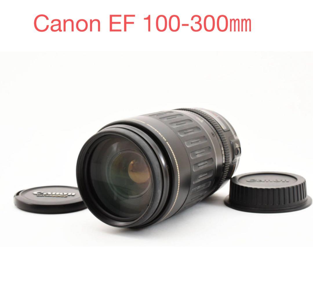 ☆超望遠ズームレンズ☆Canon EF100-300㎜F4.5-5.6 USM☆