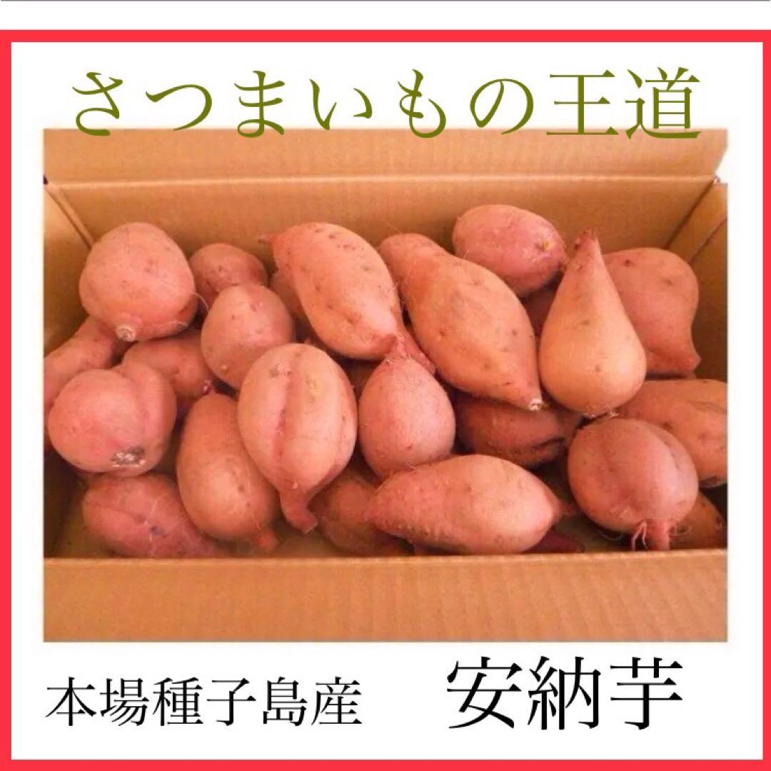 本場種子島産安納芋　MLサイズ20kgさつまいも王道 焼き芋でおやつに　#09