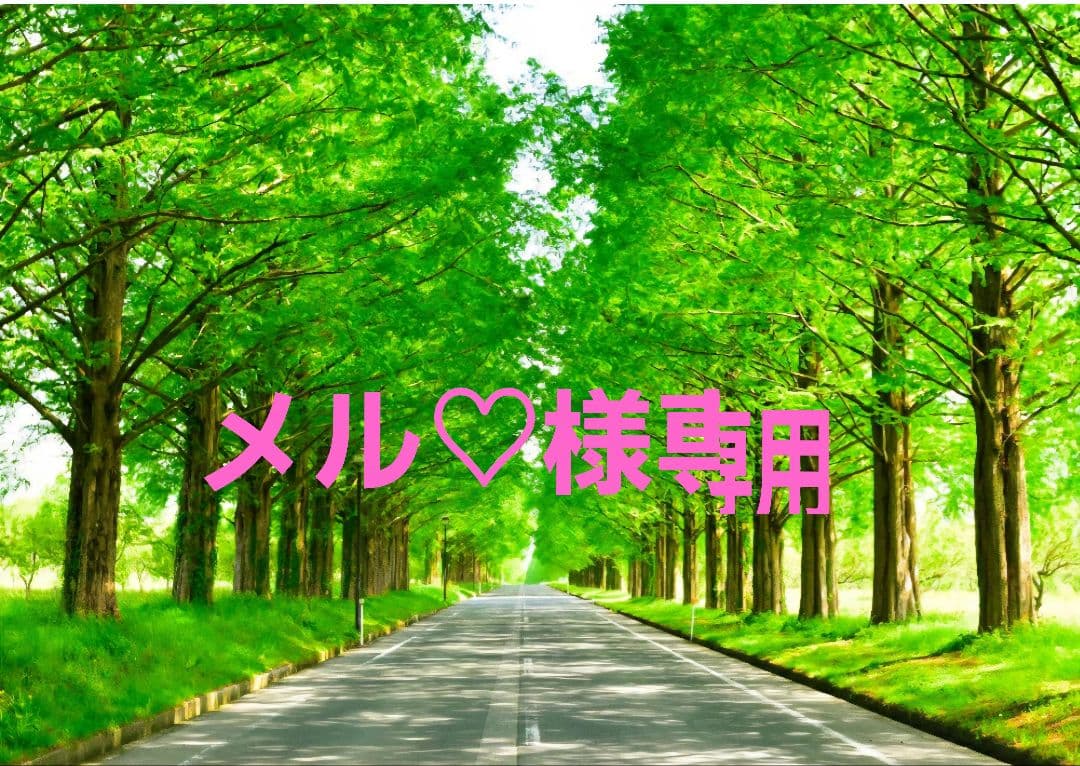 メル♡　栄泉堂　胡麻バター最中　12個入り