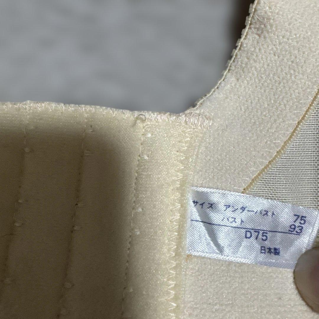 【フォーシスアンドカンパニー】