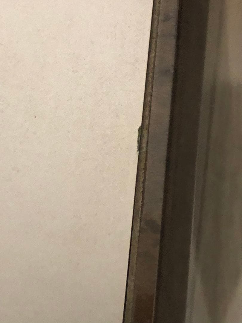 Bose スタンド型スピーカー 木製仕上げ 125