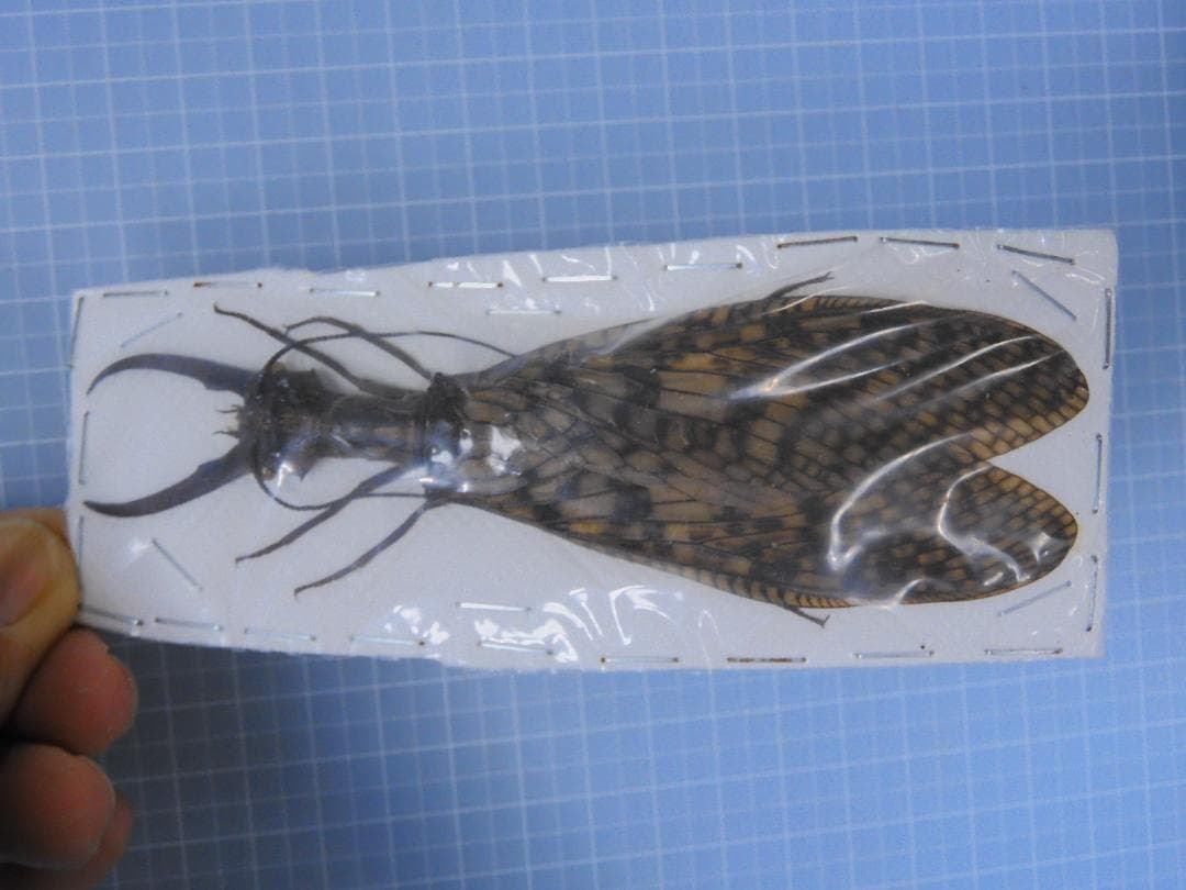 ニボシ様 リクエスト 6点 まとめ商品