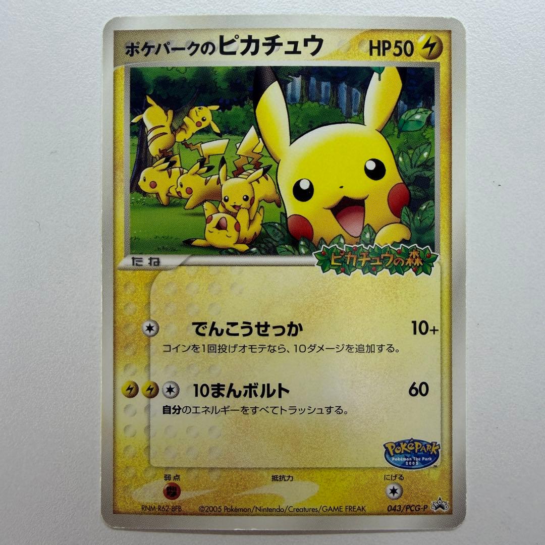 ポケパークのピカチュウ P [PCG-P 043](プロモ48
