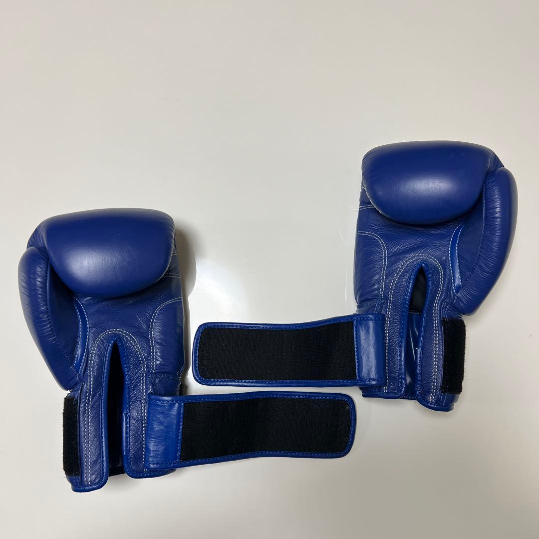 WINDY ボクシンググローブ 16 oz BGVH