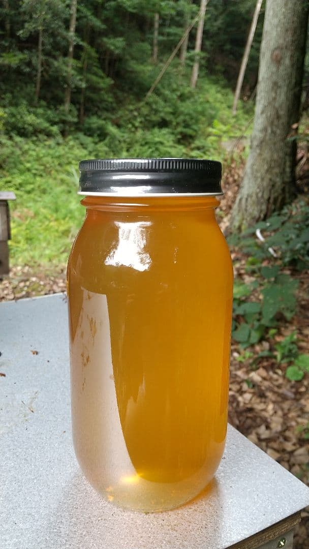 【輝夜】 はちみつ 5kg 国産 天然 純粋 生蜂蜜 7月新蜜 夏の百花蜜