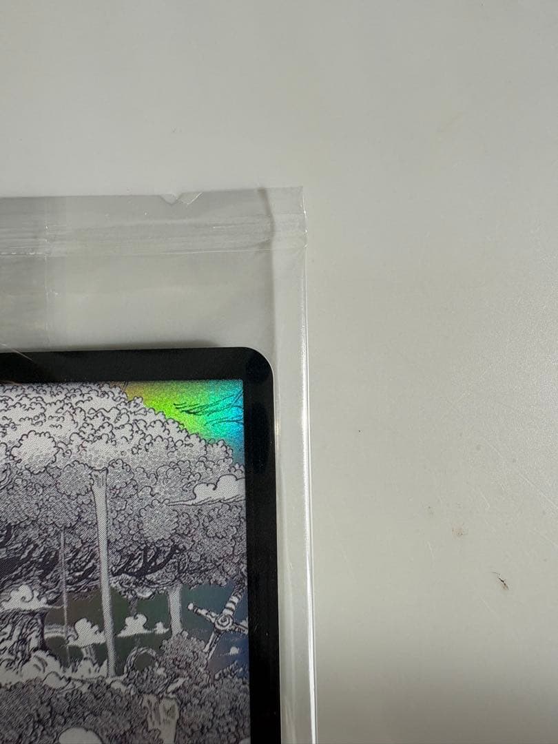 ワンピースデイ 2025 エルバフ ドンカード