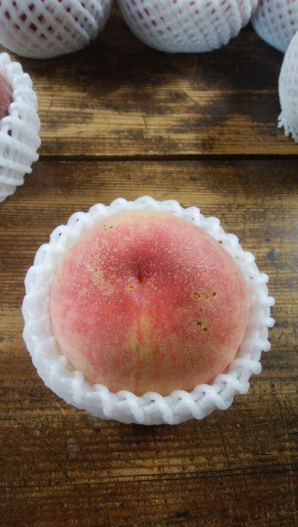 ハナミズキさん専用　桃　さくら白桃　わけあり　特大+中　10kg