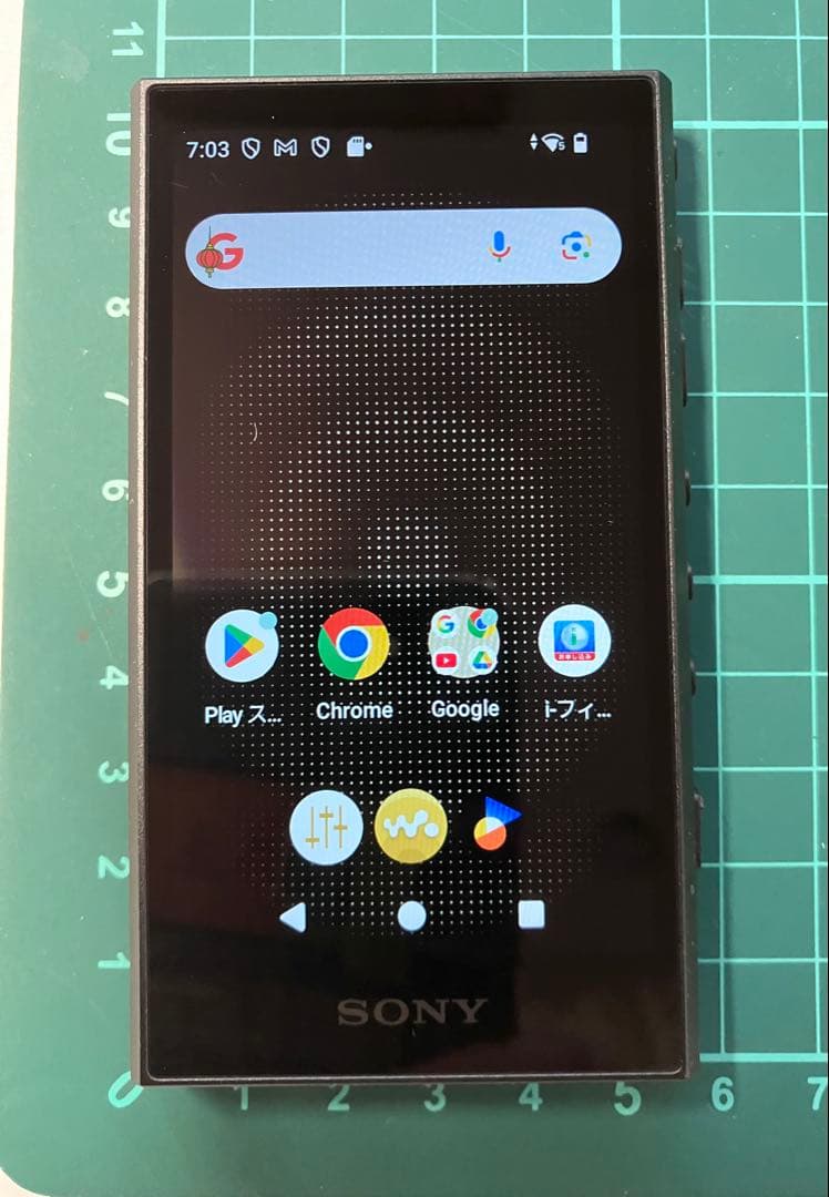 SONY WALKMAN NW-A306 32GB デジタル プレーヤー