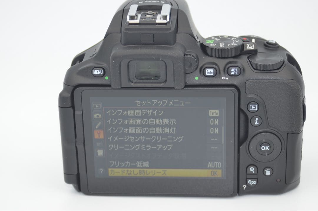 NIKON D5600 W ズームキット