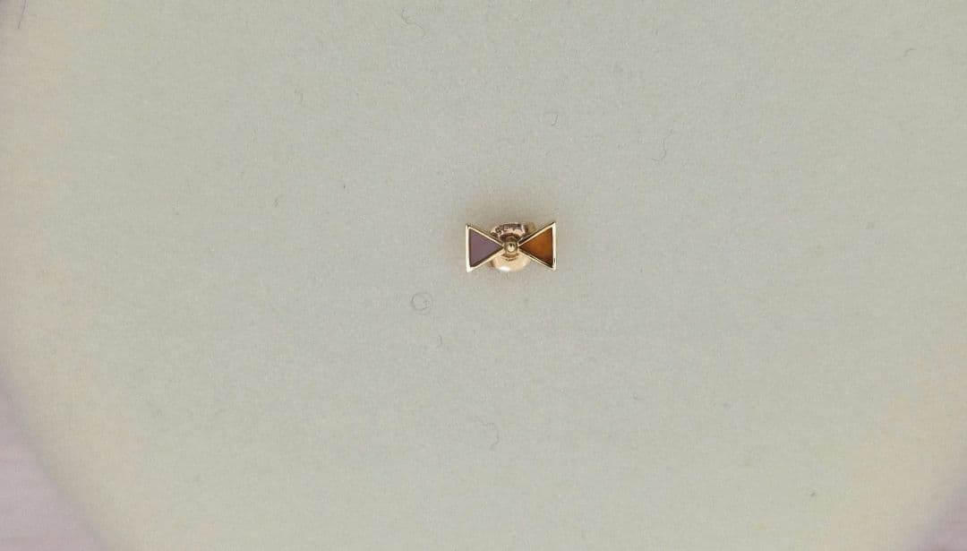 【新品】AHKAH セブロンカラー ピアス(片耳用)