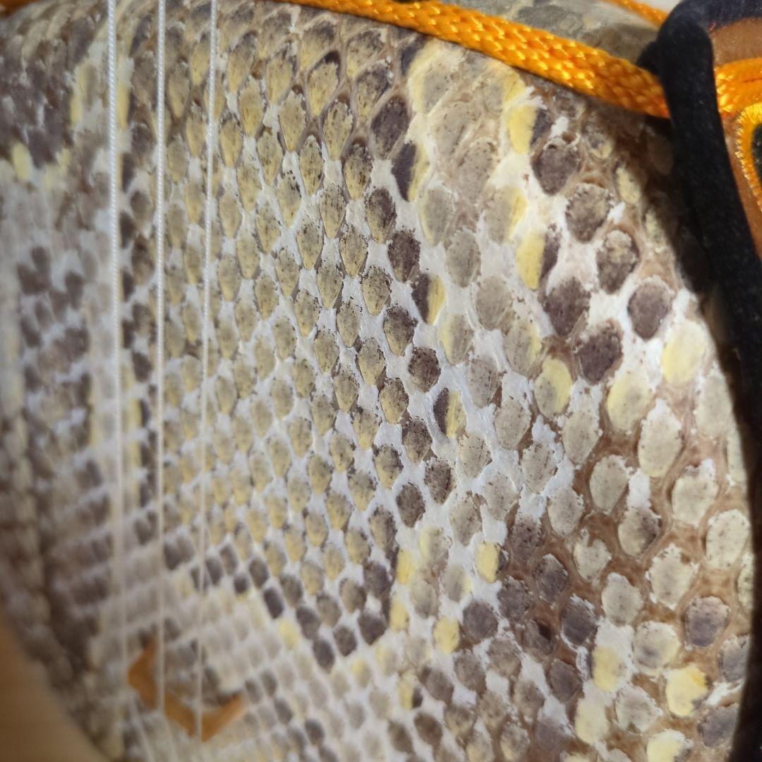 沖縄三線　蛇本革　ケース付き