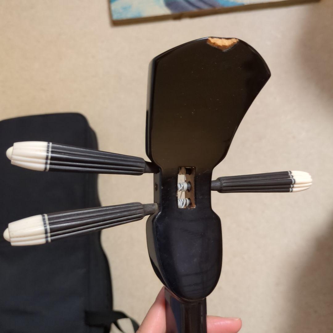 沖縄三線　蛇本革　ケース付き