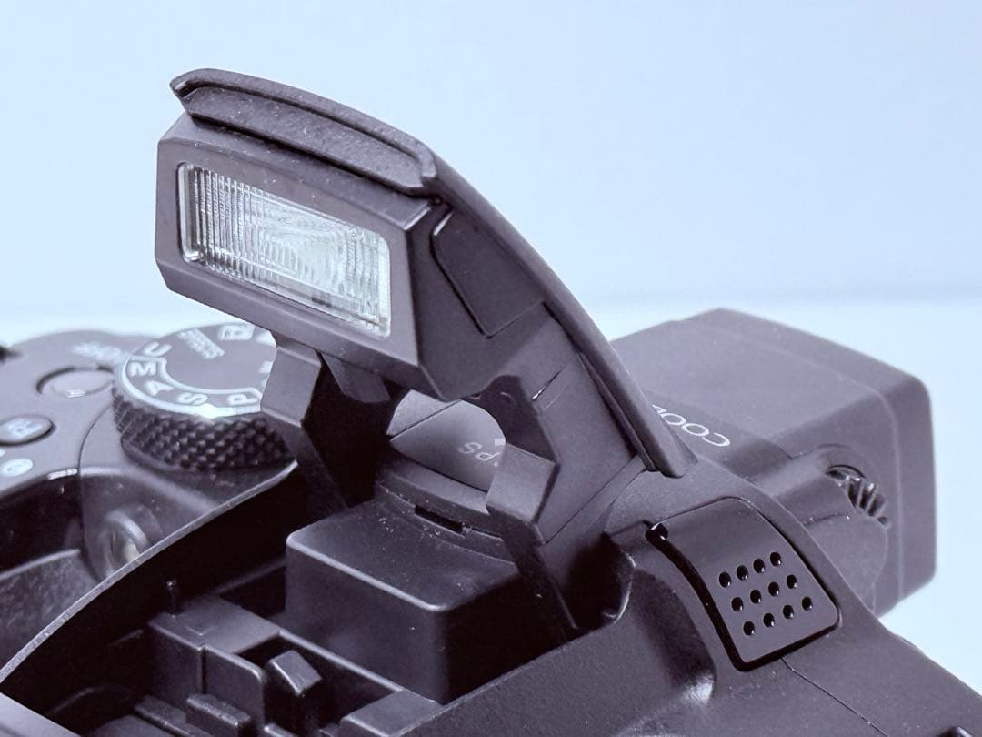 Nikon COOLPIX P510 ブラック 動作確認済 付属品豊富 デジカメ