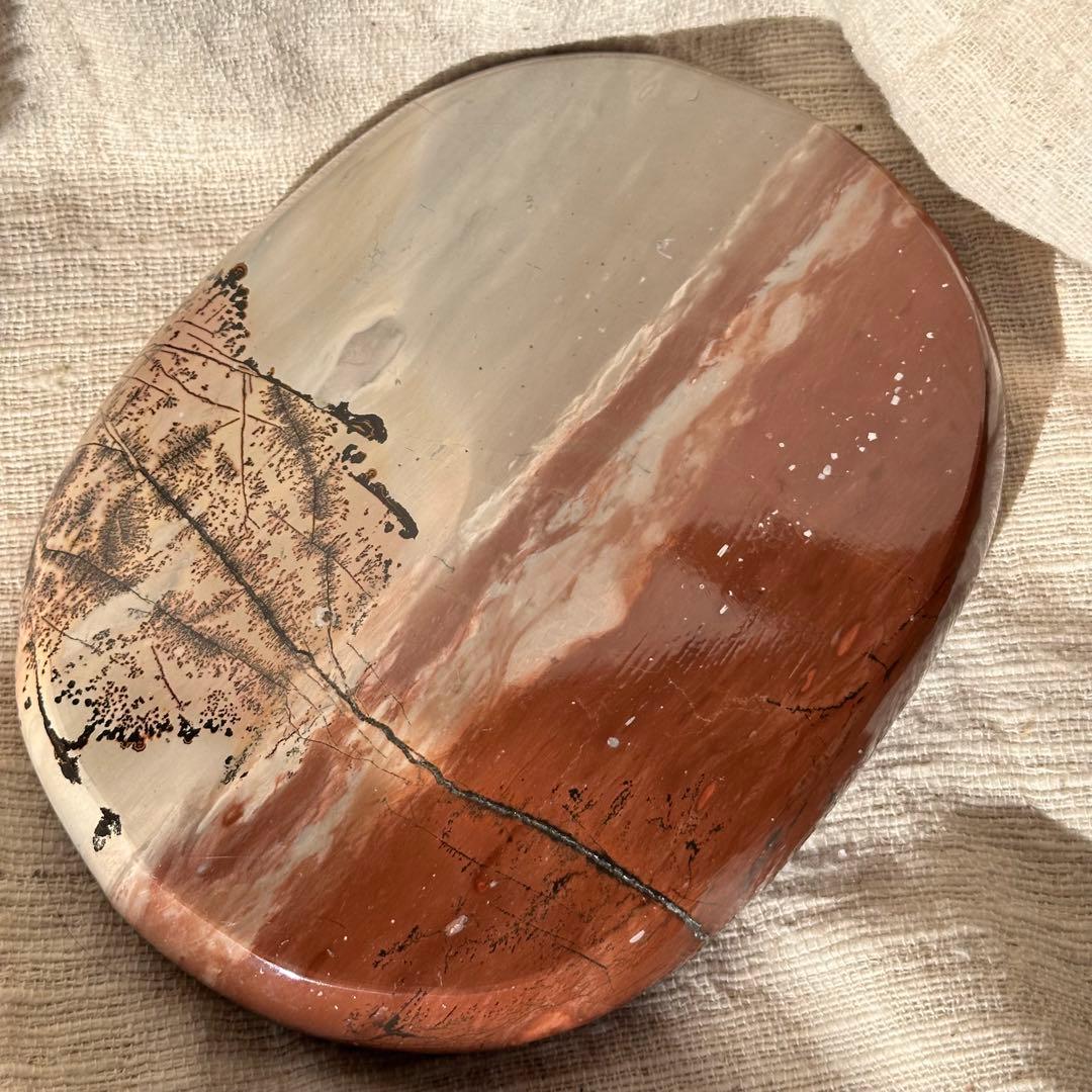 【ピクチャー ジャスパー】デンドリティック トレイ/ -One Tree-